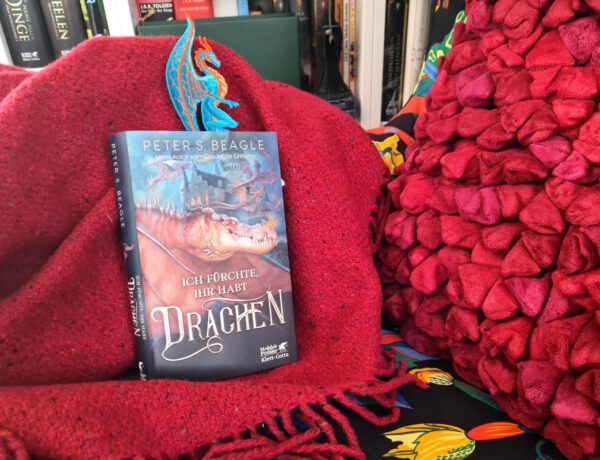 Buch mit Drachen auf dem Cover steht auf einer roten Wolldecke vor einem Bücherregal